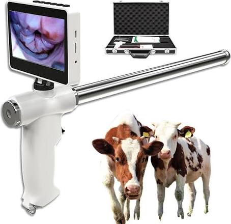 Artificial insemination