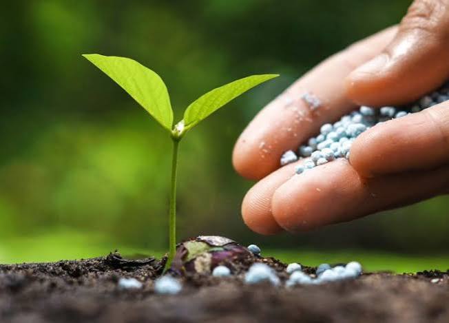 Seeds and fertilizers supply